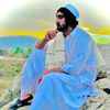 zargho99