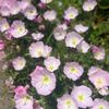 rosieng95