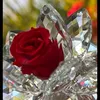 malak84456