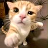 bloody_magius2