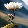 hoangduong1990h