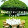 abdoomahammad492