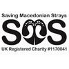 Saving Macedonian Strays