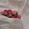 haneenemad4488882176309