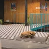 _trangnt01