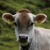 mathi5680