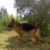 valter.mallica