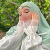 wissalgn337