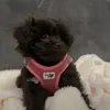 fendi.donz