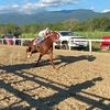 osmiovalle24