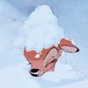 snow_snowy28