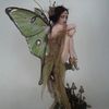valleynymph