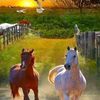 user1306702148443