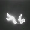 bcsrf5