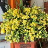 thuhoan_317