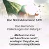 sekffkalunikmainmarimain