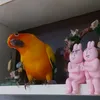 _mee558