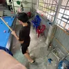 namanh11.7