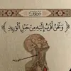 قصص وحكايات