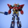 mega.z0rd