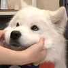 userwd4hogzrbo