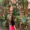 miral.903