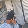 emiline593