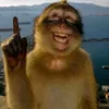ronasiuu7