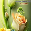 mahmudabudini