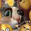 potato_wv7bo