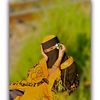 zaraislam7731