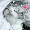 .kim_dan8