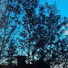 tyska_002