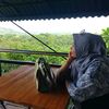 berproses1197