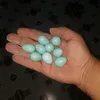 www.jeyaejode