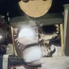 pugs942