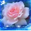 rosaortegacastro2
