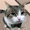 gabo_8284