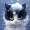 j06cute