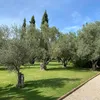 joaquinaamarillat
