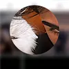af_76tt