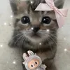 .kotecek_kc