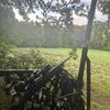 austinfinan0707