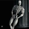 mr.skull_7