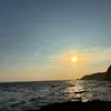 🇯🇵サボり