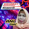 ani.gmc