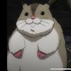 kirukisocute