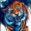 faiz.zamri98