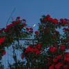 nourhassan4785