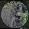 naif.aldosy
